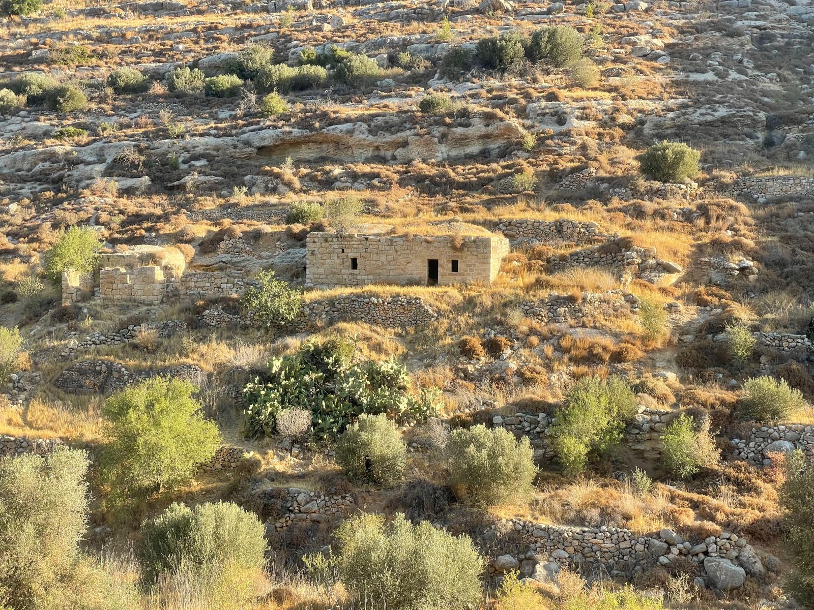 מבט לחורבת שיח עומרי