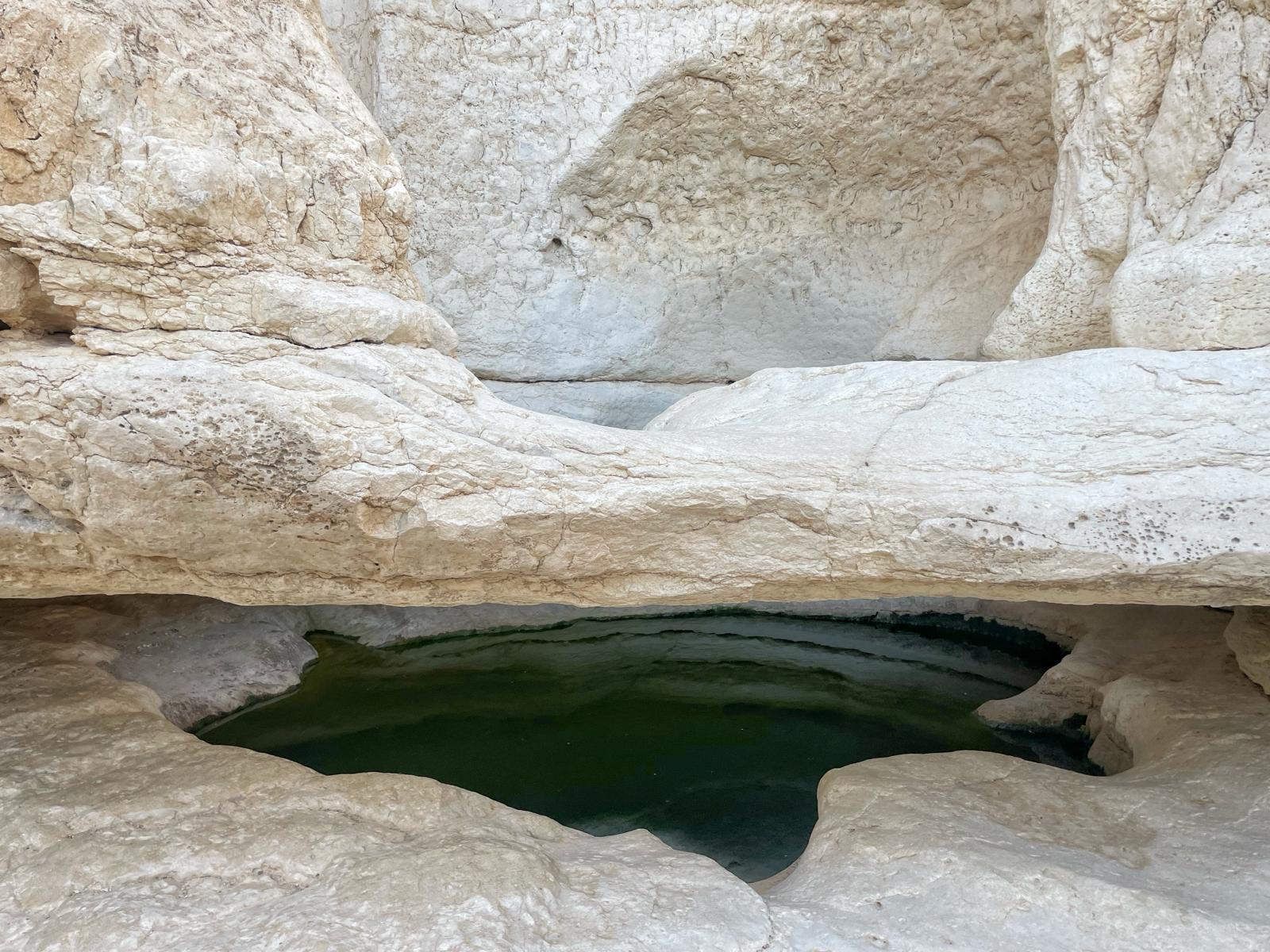 גב זרחן