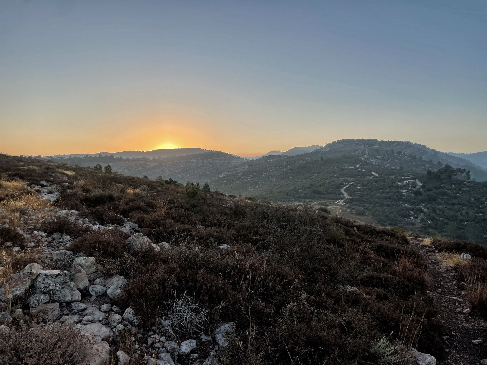 מבט מזרחה בשמורת נחל כפירה