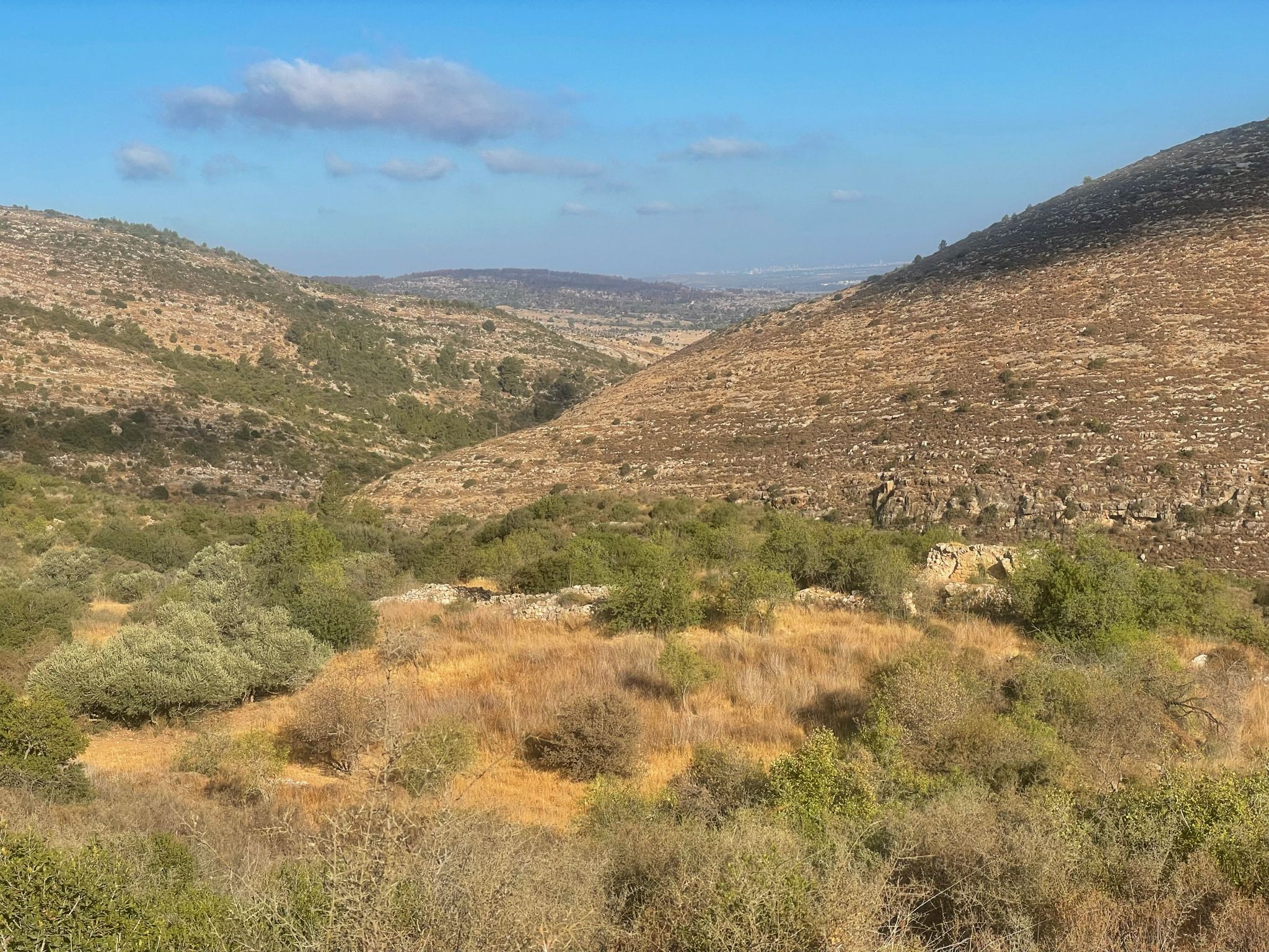 שמורת נחל כפירה