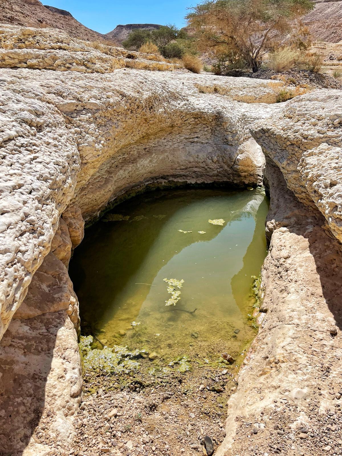 נחל שרף