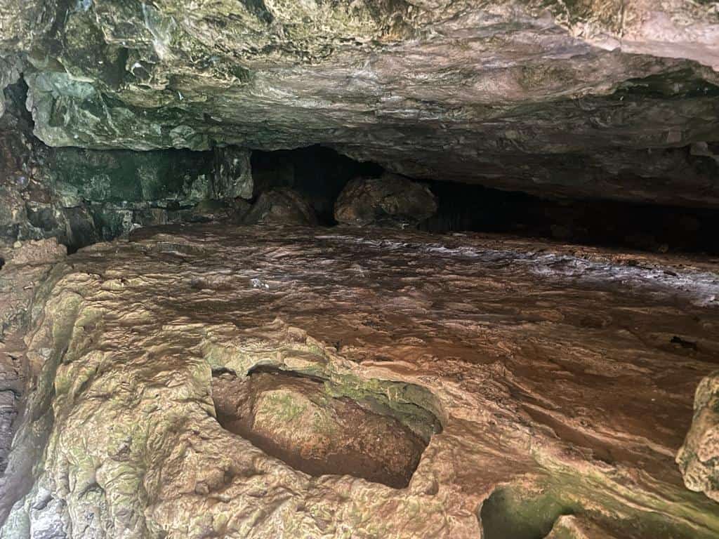 הכניסה למערת נמר